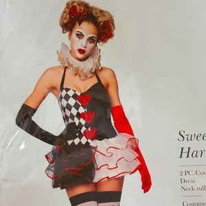 Sweetheart Harlequin Costume